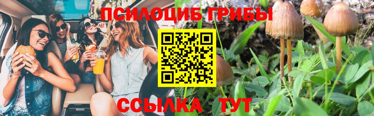 Псилоцибиновые грибы ЛСД  Вход с VPN  Вятские Поляны 